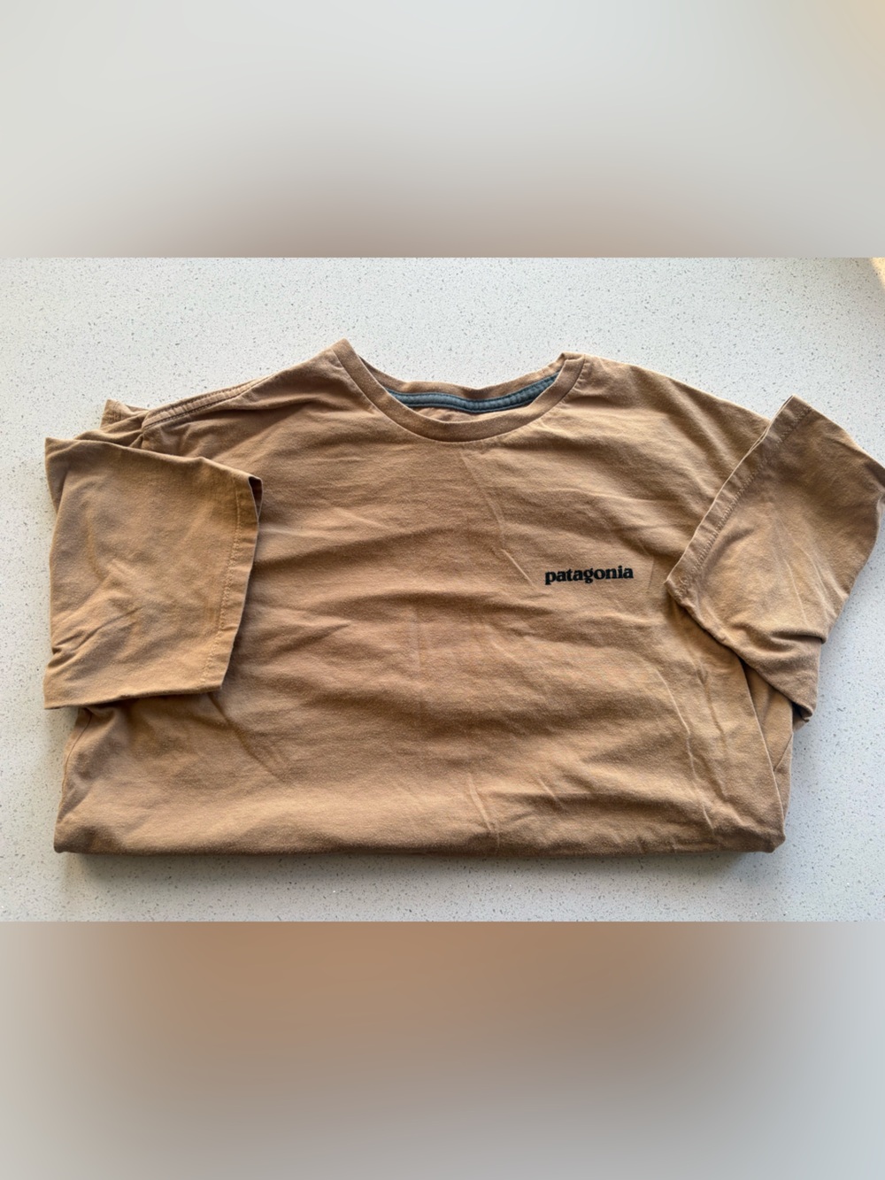Patagonia Brown Short Sleeve Crewneck Tee